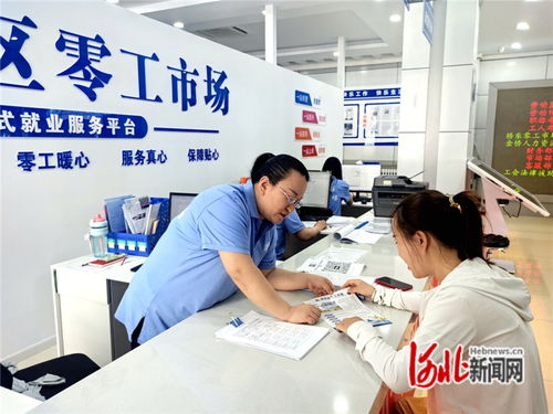 張家口 織密信息服務網，搭建高效供需橋